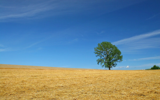 465849 (a): :1920x1200